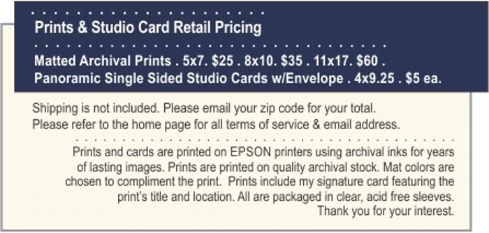 jacque dorazio photography pricing